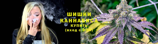 стаф Семилуки