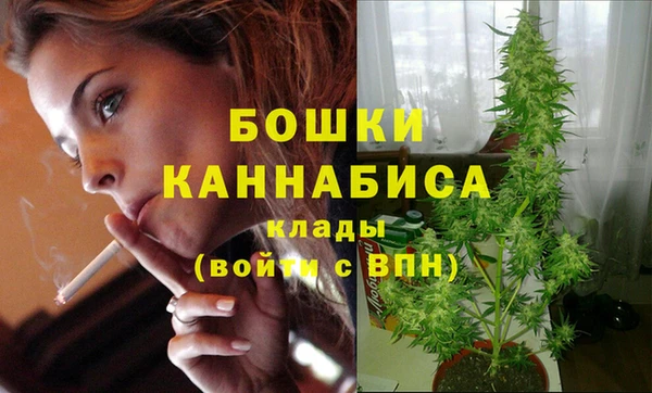 стаф Семилуки