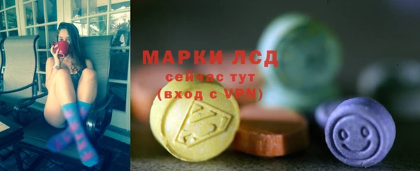 стаф Семилуки