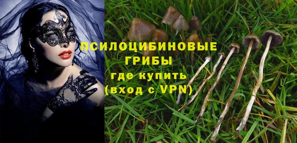 спайс Баксан